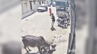 Gurpreet jeet friend tries to save him but kills him with a rock to the temple!