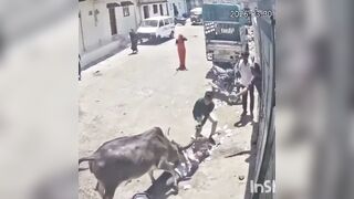 Gurpreet jeet friend tries to save him but kills him with a rock to the temple!