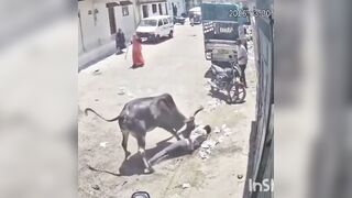Gurpreet jeet friend tries to save him but kills him with a rock to the temple!