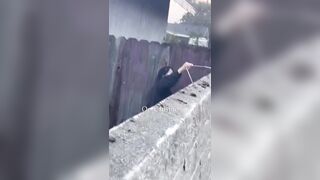 Woman Seen allegedly applying dog feces to wall to deter people from climbing over