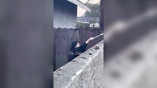 Woman Seen allegedly applying dog feces to wall to deter people from climbing over