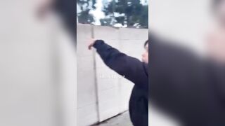 Woman Seen allegedly applying dog feces to wall to deter people from climbing over