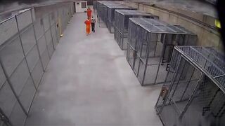 Prison guards vs inmates
