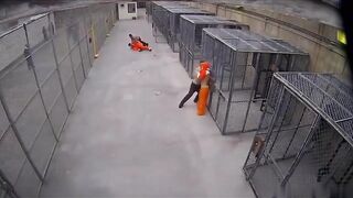 Prison guards vs inmates