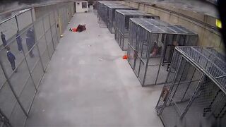 Prison guards vs inmates