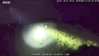 Officer Shoots Miniature Donkey HeeHaw During Search for Missing Girl