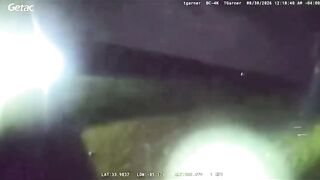 Officer Shoots Miniature Donkey HeeHaw During Search for Missing Girl