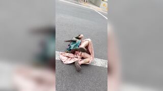 Leftist with bullhorn knocked down by federal SUV in Sacramento