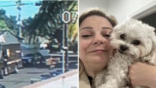 UPS Driver Tosses Huge, 55lb Package Over Fence. Crushes Little Dog