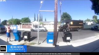 UPS Driver Tosses Huge, 55lb Package Over Fence. Crushes Little Dog