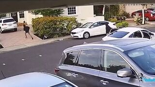 California Has Been Lost... Suburbs are Falling... Groups of Criminal Thugs Targeting Suburbs Throughout the State.