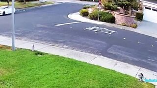California Has Been Lost... Suburbs are Falling... Groups of Criminal Thugs Targeting Suburbs Throughout the State.