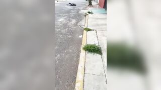 Man runs over Woman, drags her for several Meters and then Flees