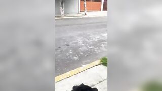Man runs over Woman, drags her for several Meters and then Flees