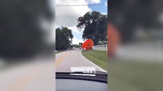 The Great Pumpkin has enough of Charlie Brown's mouth