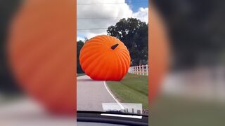 The Great Pumpkin has enough of Charlie Brown's mouth