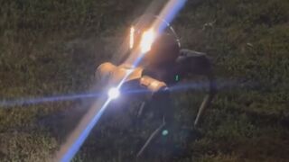 Robot Dogs Are Now Patrolling Atlanta Apartments at Night