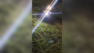 Robot Dogs Are Now Patrolling Atlanta Apartments at Night