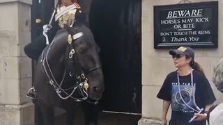 LOL: Horse Was in the Mood for some Asian Food Apparently