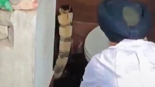Terrifying Moment 10-ft King Cobra Pulled From Family’s Toilet In India