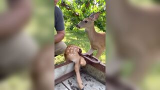 I don't understand how people kill these beautiful creatures