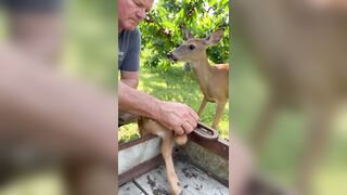 I don't understand how people kill these beautiful creatures