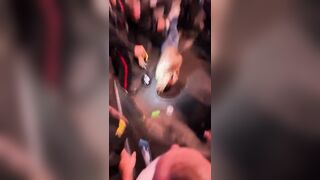 Cop has the be KO of the night at UFC Edmonton
