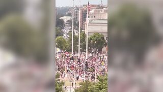 Pro-Palestine Protestors Remove American Flag outside of Union Station in Washington and Burn it while Chanting "Allah Akbar"
