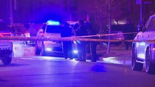 National Guardsman and suspect both SHOT on Capitol Hill in Washington, D.C.