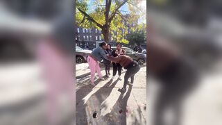 Street Fight Breaks Out in Crown Heights Before Women Step In