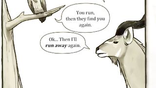 Humans