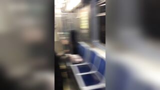White Woman Attacked with Fireworks and Assaulted on Moving Chicago Train