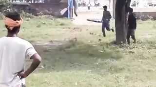 Elephant breaks free in India crushes handler chest after slamming him to ground