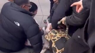 Bystander starts choking pitbill after the dog bit a toddler and refused to let go in NYC