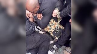 Bystander starts choking pitbill after the dog bit a toddler and refused to let go in NYC