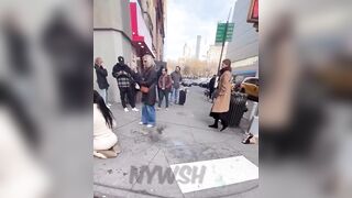 Bystander starts choking pitbill after the dog bit a toddler and refused to let go in NYC