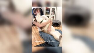 These Dogs are hilarious