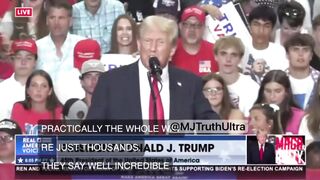 Trump Says they have a Plan... "They’re gonna try to cheat, but we’re gonna GET'M"
