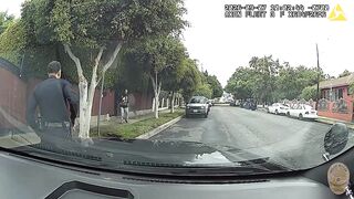Man fatally shot when he charged at an LAPD officer with an extendable pole saw
