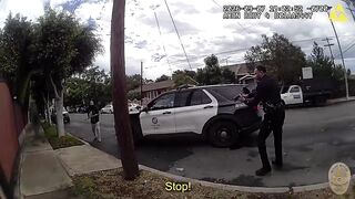 Man fatally shot when he charged at an LAPD officer with an extendable pole saw