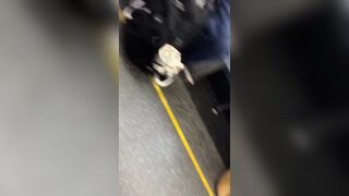 More fun on Chicago's public transit
