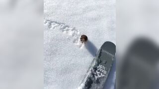 A Skier Pissed Off the Wrong little Lemming on the Slopes