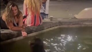 Topless Tourist's Fountain Swim Sends Locals in Florence Over the Edge...(Big Deal)