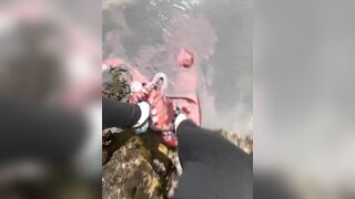 Octopus and Human Becoming Best Buddies.