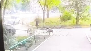 Girl trips and Falls, left behind and then Run Over (See Description for Context)
