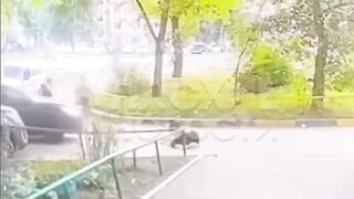 Girl trips and Falls, left behind and then Run Over (See Description for Context)