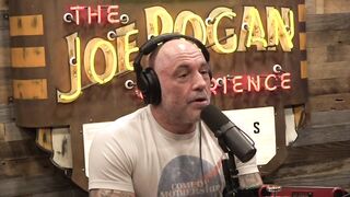 Joe Rogan Predicts Kamala Harris "Might" Defeat Trump: ‘I’m Just Being Honest’