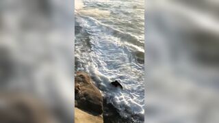 Illegal Immigrants "Sneak" into the US via Jetski and get a Friendly Welcome!?