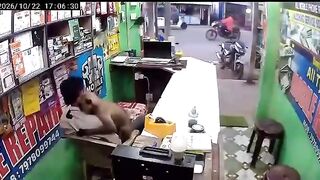 Monkey drops by a phone repair shop in India to give the owner a hug
