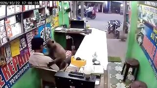 Monkey drops by a phone repair shop in India to give the owner a hug